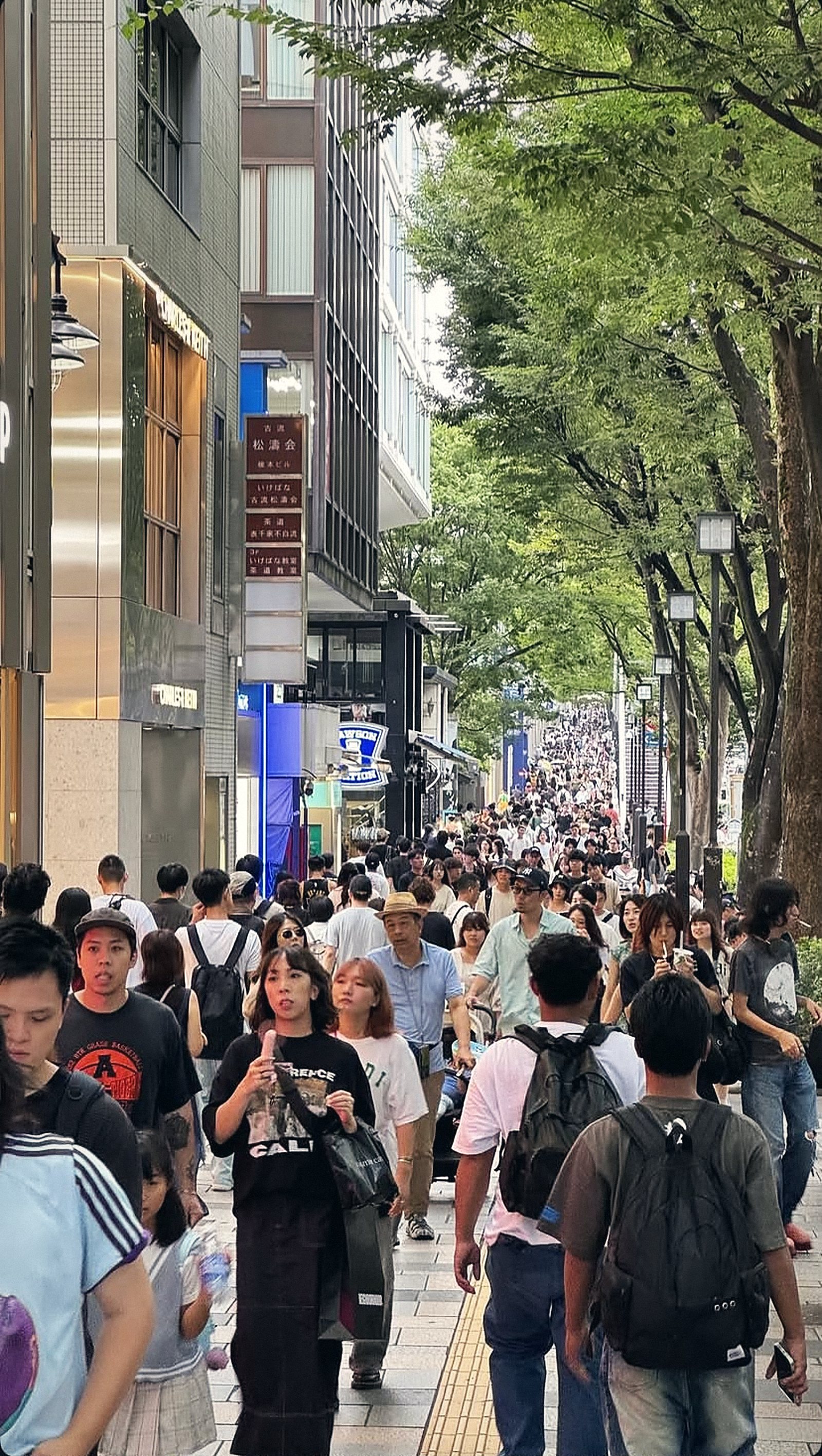 Busy tree-lined shopping street in Tokyo